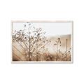 Picture of Neutral Grasses _GroupedProduct_Rectangle_Landscape_Photography _GroupedProduct_Rectangle_Landscape_Framed_Matted_