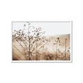 Picture of Neutral Grasses _GroupedProduct_Rectangle_Landscape_Photography _GroupedProduct_Rectangle_Landscape_Framed_Matted_