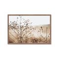 Picture of Neutral Grasses _GroupedProduct_Rectangle_Landscape_Photography _GroupedProduct_Rectangle_Landscape_Framed_Matted_