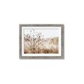 Picture of Neutral Grasses _GroupedProduct_Rectangle_Landscape_Photography _GroupedProduct_Rectangle_Landscape_Framed_Matted_