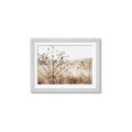 Picture of Neutral Grasses _GroupedProduct_Rectangle_Landscape_Photography _GroupedProduct_Rectangle_Landscape_Framed_Matted_