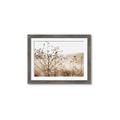 Picture of Neutral Grasses _GroupedProduct_Rectangle_Landscape_Photography _GroupedProduct_Rectangle_Landscape_Framed_Matted_