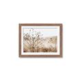 Picture of Neutral Grasses _GroupedProduct_Rectangle_Landscape_Photography _GroupedProduct_Rectangle_Landscape_Framed_Matted_