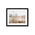Picture of Neutral Grasses _GroupedProduct_Rectangle_Landscape_Photography _GroupedProduct_Rectangle_Landscape_Framed_Matted_