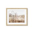Picture of Neutral Grasses _GroupedProduct_Rectangle_Landscape_Photography _GroupedProduct_Rectangle_Landscape_Framed_Matted_