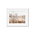 Picture of Neutral Grasses _GroupedProduct_Rectangle_Landscape_Photography _GroupedProduct_Rectangle_Landscape_Framed_Matted_