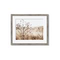 Picture of Neutral Grasses _GroupedProduct_Rectangle_Landscape_Photography _GroupedProduct_Rectangle_Landscape_Framed_Matted_