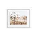 Picture of Neutral Grasses _GroupedProduct_Rectangle_Landscape_Photography _GroupedProduct_Rectangle_Landscape_Framed_Matted_
