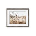 Picture of Neutral Grasses _GroupedProduct_Rectangle_Landscape_Photography _GroupedProduct_Rectangle_Landscape_Framed_Matted_