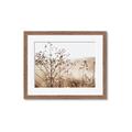 Picture of Neutral Grasses _GroupedProduct_Rectangle_Landscape_Photography _GroupedProduct_Rectangle_Landscape_Framed_Matted_