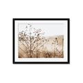 Picture of Neutral Grasses _GroupedProduct_Rectangle_Landscape_Photography _GroupedProduct_Rectangle_Landscape_Framed_Matted_