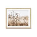 Picture of Neutral Grasses _GroupedProduct_Rectangle_Landscape_Photography _GroupedProduct_Rectangle_Landscape_Framed_Matted_