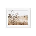 Picture of Neutral Grasses _GroupedProduct_Rectangle_Landscape_Photography _GroupedProduct_Rectangle_Landscape_Framed_Matted_