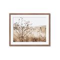 Picture of Neutral Grasses _GroupedProduct_Rectangle_Landscape_Photography _GroupedProduct_Rectangle_Landscape_Framed_Matted_