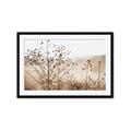 Picture of Neutral Grasses _GroupedProduct_Rectangle_Landscape_Photography _GroupedProduct_Rectangle_Landscape_Framed_Matted_