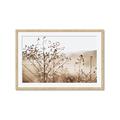 Picture of Neutral Grasses _GroupedProduct_Rectangle_Landscape_Photography _GroupedProduct_Rectangle_Landscape_Framed_Matted_