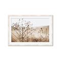 Picture of Neutral Grasses _GroupedProduct_Rectangle_Landscape_Photography _GroupedProduct_Rectangle_Landscape_Framed_Matted_