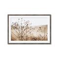 Picture of Neutral Grasses _GroupedProduct_Rectangle_Landscape_Photography _GroupedProduct_Rectangle_Landscape_Framed_Matted_