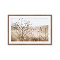 Picture of Neutral Grasses _GroupedProduct_Rectangle_Landscape_Photography _GroupedProduct_Rectangle_Landscape_Framed_Matted_