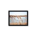Picture of Fall Beach _GroupedProduct_Rectangle_Landscape_Photography _GroupedProduct_Rectangle_Landscape_Framed_Matted_