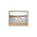 Picture of Fall Beach _GroupedProduct_Rectangle_Landscape_Photography _GroupedProduct_Rectangle_Landscape_Framed_Matted_