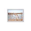 Picture of Fall Beach _GroupedProduct_Rectangle_Landscape_Photography _GroupedProduct_Rectangle_Landscape_Framed_Matted_