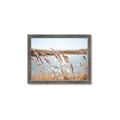Picture of Fall Beach _GroupedProduct_Rectangle_Landscape_Photography _GroupedProduct_Rectangle_Landscape_Framed_Matted_