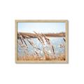 Picture of Fall Beach _GroupedProduct_Rectangle_Landscape_Photography _GroupedProduct_Rectangle_Landscape_Framed_Matted_
