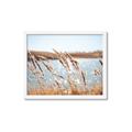 Picture of Fall Beach _GroupedProduct_Rectangle_Landscape_Photography _GroupedProduct_Rectangle_Landscape_Framed_Matted_