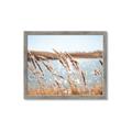 Picture of Fall Beach _GroupedProduct_Rectangle_Landscape_Photography _GroupedProduct_Rectangle_Landscape_Framed_Matted_