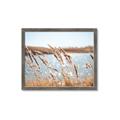 Picture of Fall Beach _GroupedProduct_Rectangle_Landscape_Photography _GroupedProduct_Rectangle_Landscape_Framed_Matted_