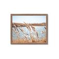 Picture of Fall Beach _GroupedProduct_Rectangle_Landscape_Photography _GroupedProduct_Rectangle_Landscape_Framed_Matted_