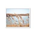 Picture of Fall Beach _GroupedProduct_Rectangle_Landscape_Photography _GroupedProduct_Rectangle_Landscape_Framed_Matted_