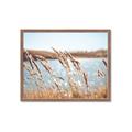 Picture of Fall Beach _GroupedProduct_Rectangle_Landscape_Photography _GroupedProduct_Rectangle_Landscape_Framed_Matted_
