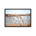 Picture of Fall Beach _GroupedProduct_Rectangle_Landscape_Photography _GroupedProduct_Rectangle_Landscape_Framed_Matted_