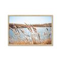 Picture of Fall Beach _GroupedProduct_Rectangle_Landscape_Photography _GroupedProduct_Rectangle_Landscape_Framed_Matted_