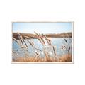 Picture of Fall Beach _GroupedProduct_Rectangle_Landscape_Photography _GroupedProduct_Rectangle_Landscape_Framed_Matted_