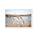 Picture of Fall Beach _GroupedProduct_Rectangle_Landscape_Photography _GroupedProduct_Rectangle_Landscape_Framed_Matted_