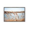 Picture of Fall Beach _GroupedProduct_Rectangle_Landscape_Photography _GroupedProduct_Rectangle_Landscape_Framed_Matted_