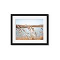 Picture of Fall Beach _GroupedProduct_Rectangle_Landscape_Photography _GroupedProduct_Rectangle_Landscape_Framed_Matted_