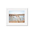 Picture of Fall Beach _GroupedProduct_Rectangle_Landscape_Photography _GroupedProduct_Rectangle_Landscape_Framed_Matted_