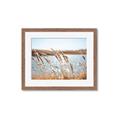 Picture of Fall Beach _GroupedProduct_Rectangle_Landscape_Photography _GroupedProduct_Rectangle_Landscape_Framed_Matted_