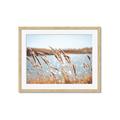 Picture of Fall Beach _GroupedProduct_Rectangle_Landscape_Photography _GroupedProduct_Rectangle_Landscape_Framed_Matted_