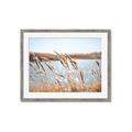 Picture of Fall Beach _GroupedProduct_Rectangle_Landscape_Photography _GroupedProduct_Rectangle_Landscape_Framed_Matted_