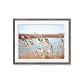 Picture of Fall Beach _GroupedProduct_Rectangle_Landscape_Photography _GroupedProduct_Rectangle_Landscape_Framed_Matted_