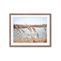 Picture of Fall Beach _GroupedProduct_Rectangle_Landscape_Photography _GroupedProduct_Rectangle_Landscape_Framed_Matted_