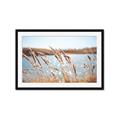 Picture of Fall Beach _GroupedProduct_Rectangle_Landscape_Photography _GroupedProduct_Rectangle_Landscape_Framed_Matted_