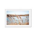 Picture of Fall Beach _GroupedProduct_Rectangle_Landscape_Photography _GroupedProduct_Rectangle_Landscape_Framed_Matted_