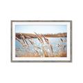 Picture of Fall Beach _GroupedProduct_Rectangle_Landscape_Photography _GroupedProduct_Rectangle_Landscape_Framed_Matted_
