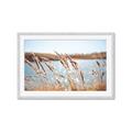 Picture of Fall Beach _GroupedProduct_Rectangle_Landscape_Photography _GroupedProduct_Rectangle_Landscape_Framed_Matted_